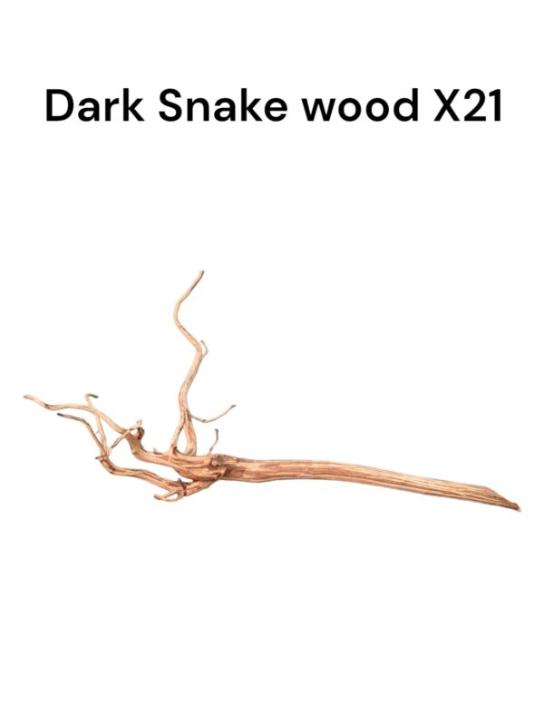 Dark Snake Wood X21